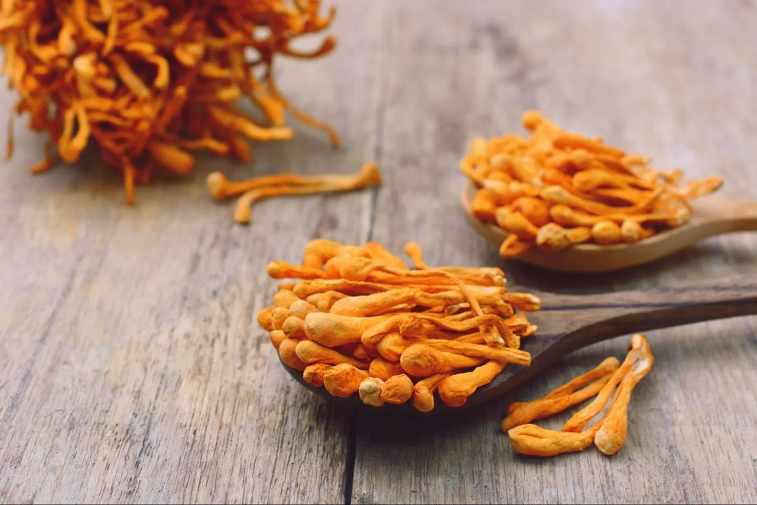 Cordyceps Mushroom: The Skin-Enhancing Adaptogen You Need to Know